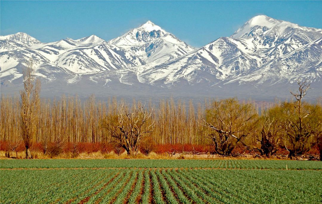 Cordillera y Cultivos Mendoza