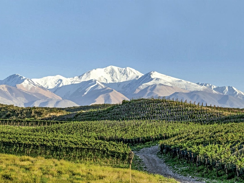Paisaje del Vino Mendoza